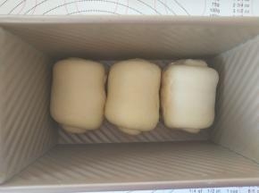 10．3个面团放入吐司盒中发酵。