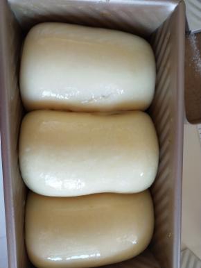 11．发酵到9分满。表面刷蛋液。烤箱下层180度 35分钟。上色及时盖锡纸。