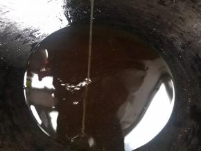 热锅倒入菜籽油