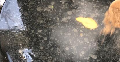 起锅烧适量清水，放入姜片、盐煮沸