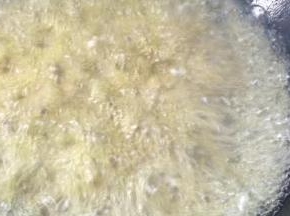把蚕豆放入油锅中