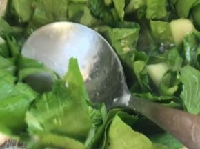加入白菜煮沸