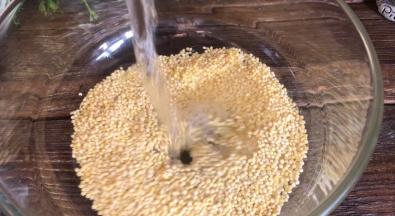 小米淘洗干净，浸泡半小时