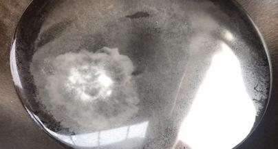 起锅倒入半锅水，加盐烧开
