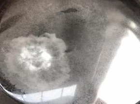 起锅倒入半锅水，加盐烧开