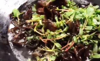 放入黑木耳和马齿苋，大火煮沸后捞出沥水放凉