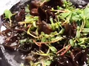 放入黑木耳和马齿苋，大火煮沸后捞出沥水放凉