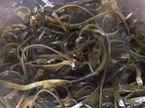 捞出放入凉开水中浸泡至凉