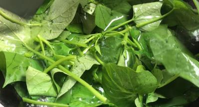 就着开水锅，放入苕叶