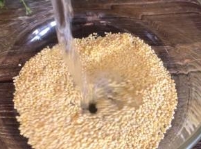 小米洗净后浸泡半小时