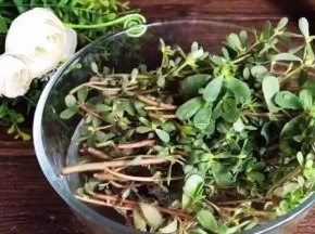 马齿苋摘洗干净，沥水备用