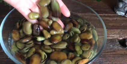 干蚕豆提前一晚泡发