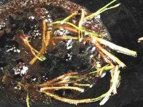 起锅，放少许油、加入葱段爆香，加入酱油和生抽，加入淀粉水勾芡