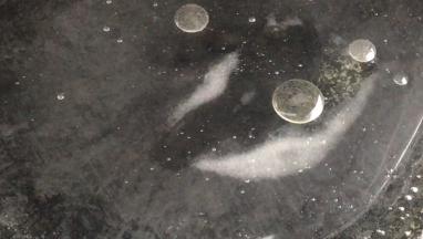 起锅烧开水，加入少许盐和油