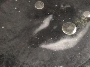起锅烧开水，加入少许盐和油