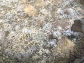 鸡块冲洗干净碎末，冷水入锅焯烫去血沫。