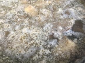 鸡块冲洗干净碎末，冷水入锅焯烫去血沫。