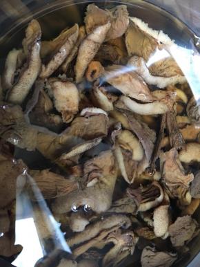 清洗干净的山蘑，冷水继续浸泡至完全涨发，这遍的水留用。