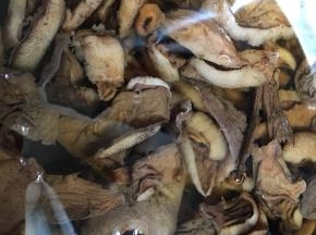 清洗干净的山蘑，冷水继续浸泡至完全涨发，这遍的水留用。