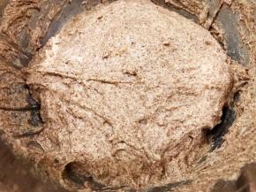 再用筷子搅拌排气