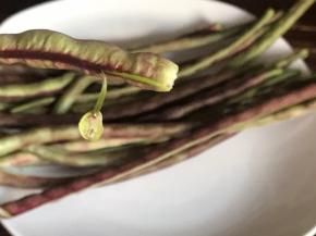 把豇豆两头蒂摘掉，剥下荆