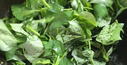 倒入苕尖，大火翻炒均匀至变色