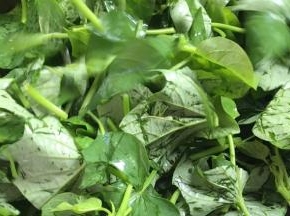 倒入苕尖，大火翻炒均匀至变色