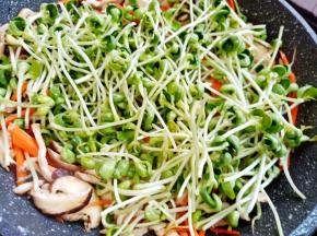 最后加黑豆芽炒一下。