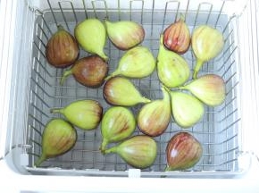 新鲜的无花果先放入果蔬清洗机内，倒入适量的清水。