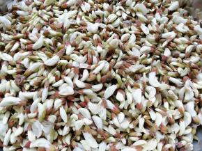 槐花用清水反复清洗干净。