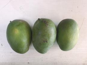 准备3个超级大的芒果，生熟适中的芒果