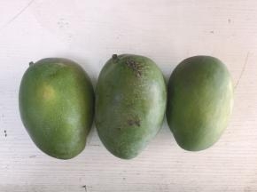 准备3个超级大的芒果，生熟适中的芒果