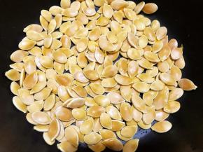 奶锅里放入南瓜籽