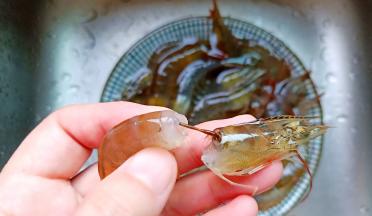 轻轻往外拉虾头，这时虾肠也会跟着拉出来。