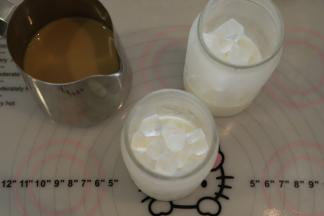 取出布丁杯，放入适量的冰块。