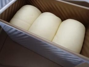 把做好的面包胚逐个放入法焙客的450克吐司模，再放入东菱K40C烤箱，选择35-37度，烤箱内再放置一碗温热水增加湿度，发酵6分满取出，然后把烤箱调到上火180度，下火200度，预热13分钟左右