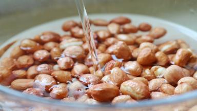 花生米注入清水浸泡