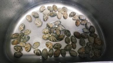 用盐浸泡花甲让其吐出沙再清洗干净