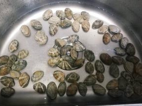 用盐浸泡花甲让其吐出沙再清洗干净