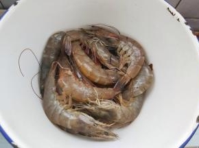 首先把海虾清洗干净，挑出虾线，虾须子也可以一并减掉备用。