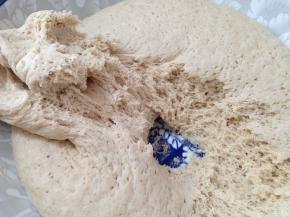 发好的面，撕开面团可以看到密集的蜂窝就是发酵好了