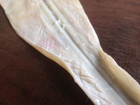 用刀在鱿鱼上面切十字花