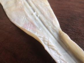 用刀在鱿鱼上面切十字花