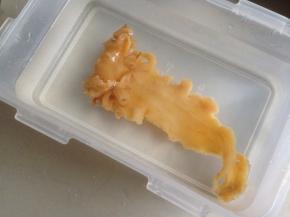 将干花胶放入冷水中，置于冰箱浸泡一个晚上（8个小时）。烧开水，将花胶放入3分钟，捞出继续放入冷水浸泡置于冰箱1天