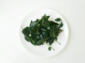 先认识一下，这个是花椒叶，在老家树上采的，我拿来冻在冰箱里。