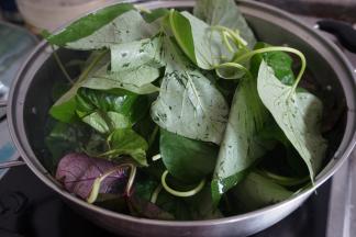 锅里的水烧开后，放入番薯藤，焯水