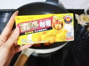 用的好侍咖喱块原味