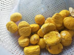 板栗去壳去皮，清洗干净备用