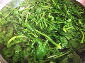 锅中水煮沸，加一点盐，将萝卜苗焯烫一分钟，捞出，冷水浸泡，去掉萝卜苗的苦涩味道。