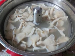当汤水沸腾后，先放入鲜蘑，再次煮至沸腾。
